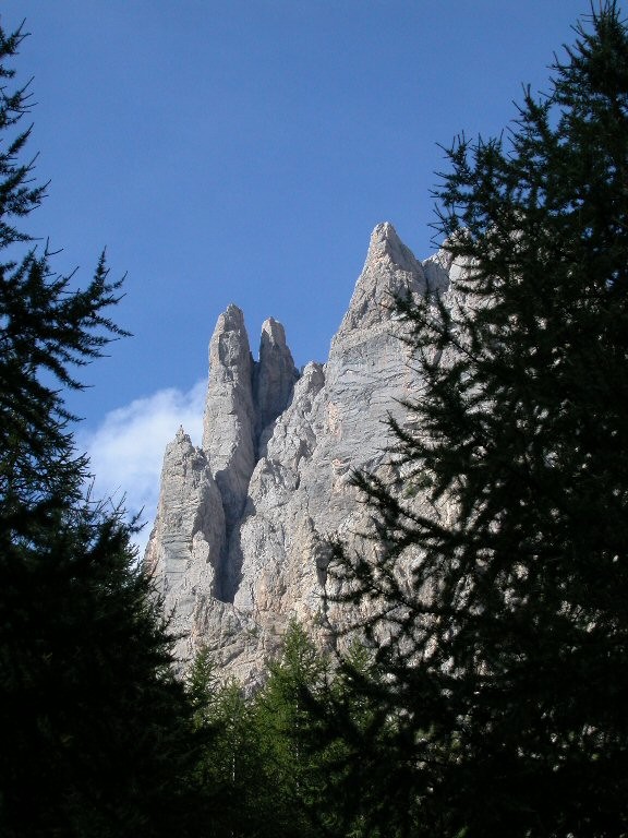 tenailles de montbrison