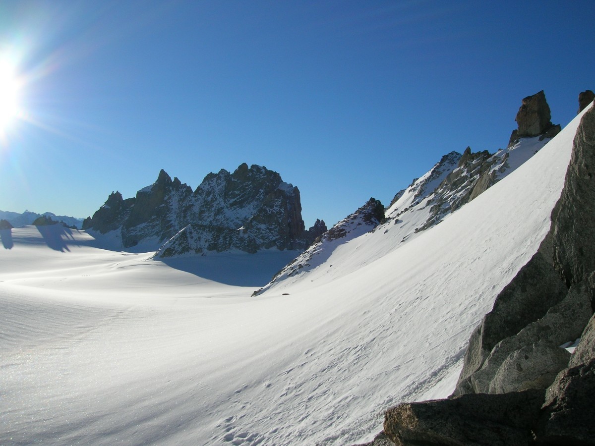 Les aiguilles dorées, la tête blanche secteur trient