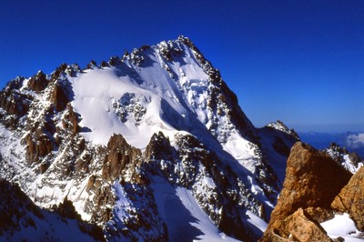 Le Chardonnet trône.