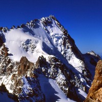 Le Chardonnet trône.