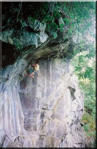 Le Toit du Halleux