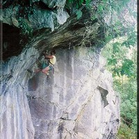 Le Toit du Halleux