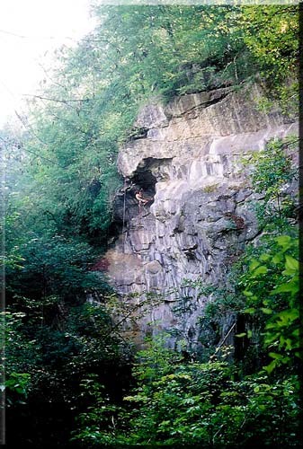 Le Toit du Halleux