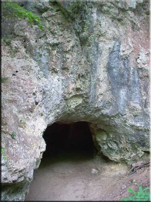 Grotte du bois Laiterie ( Rivière ) Grotte du bois Laiterie ( Rivière )