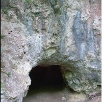 Grotte du bois Laiterie  ( Rivière )