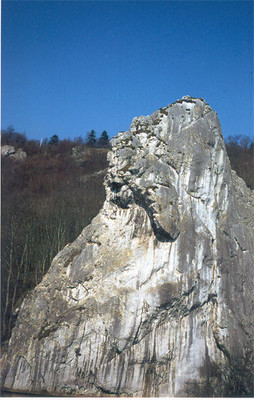FREYR - La Tête du Lion FREYR - La Tête du Lion