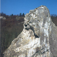 FREYR - La Tête du Lion
