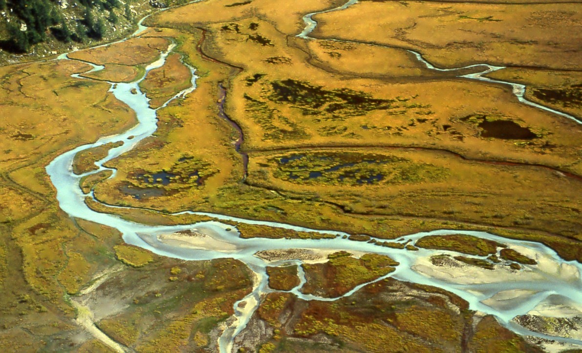 le "marais" de combal