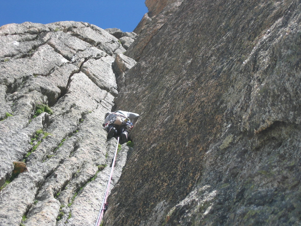 Versant sud du plateau d'Argentière : Singe bleu