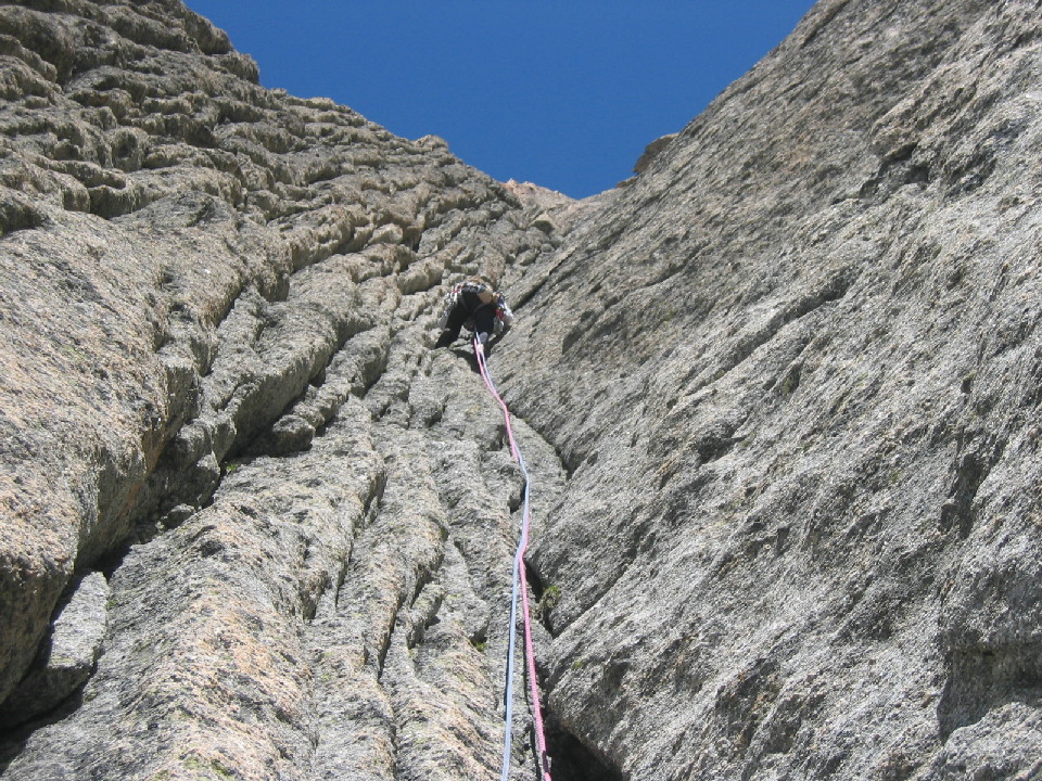 Versant sud du plateau d'Argentière : Singe bleu