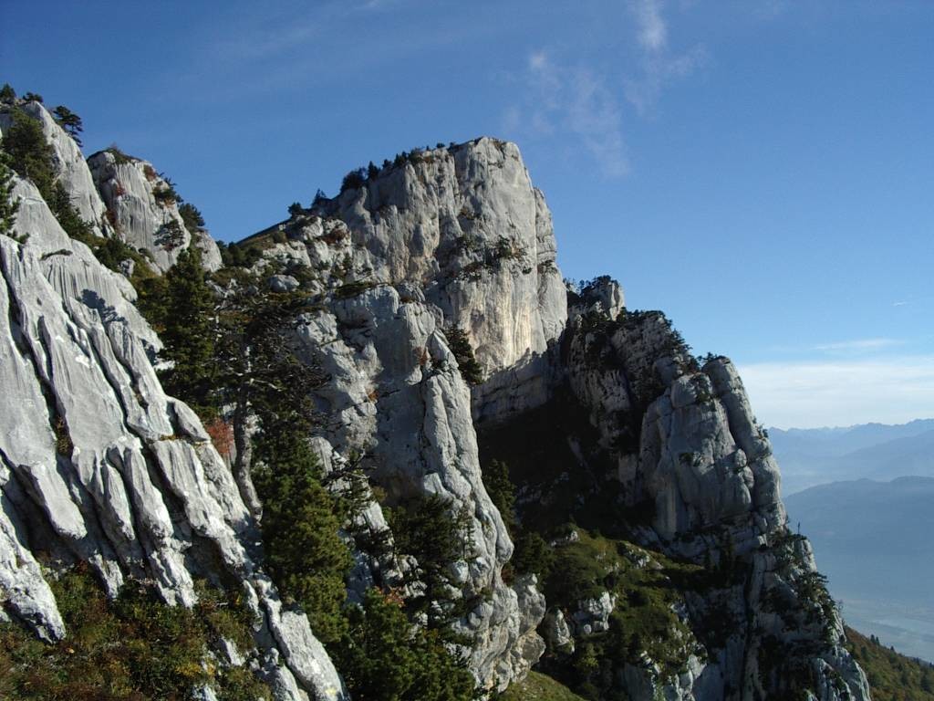 Charrassons sous la dernière barre