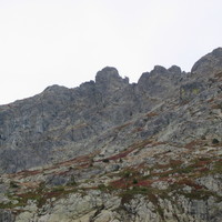 L'Oreille du loup