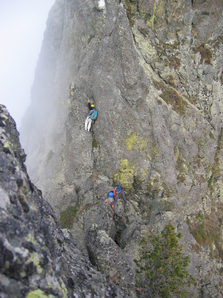 Sur les arêtes de l'oreille du loup