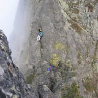 Sur les arêtes de l'oreille du loup