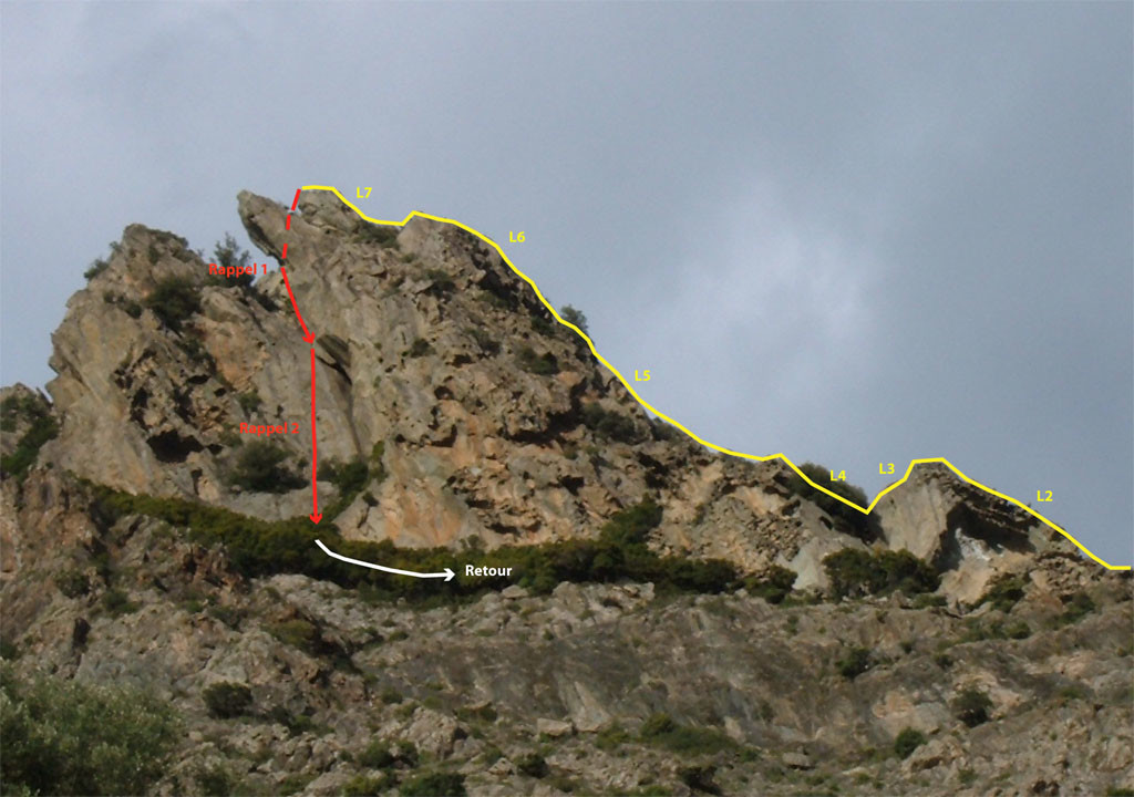 Schéma de l'arête de Corte