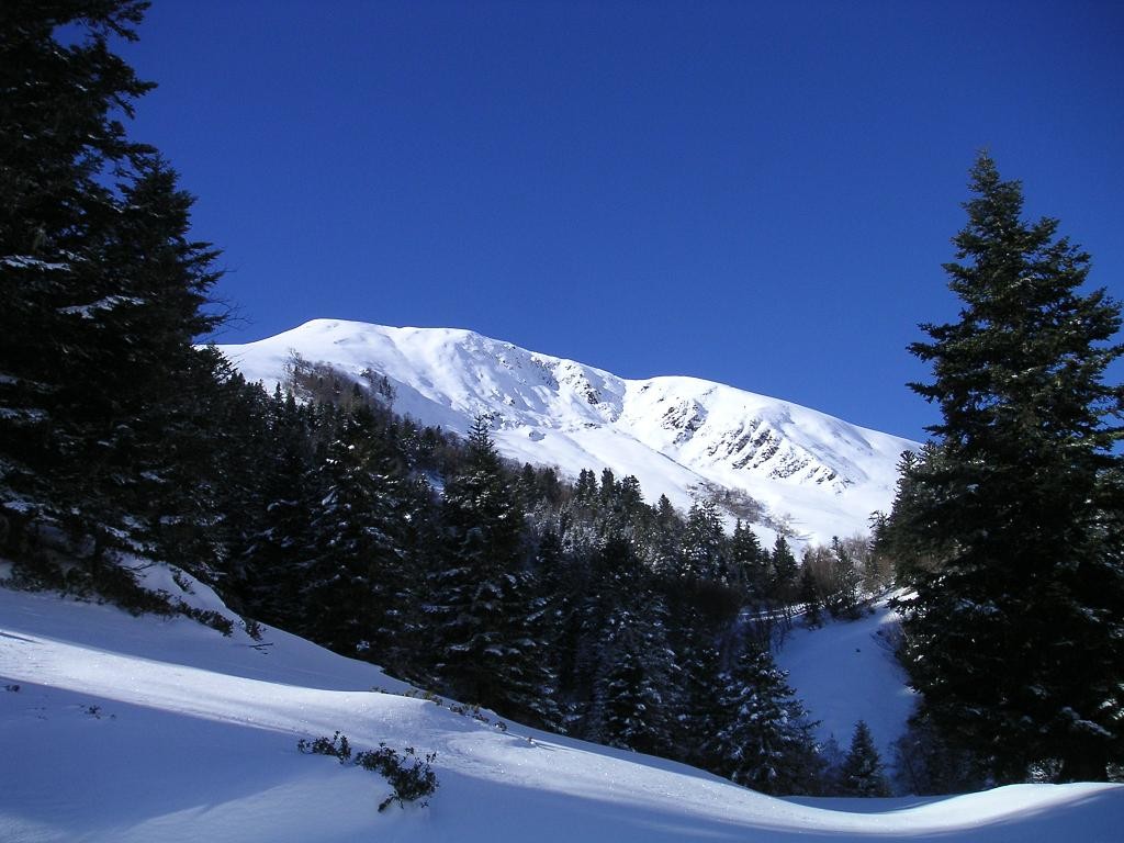 le sommet