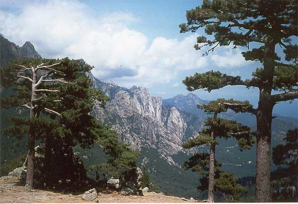Les Aiguilles de Bavella