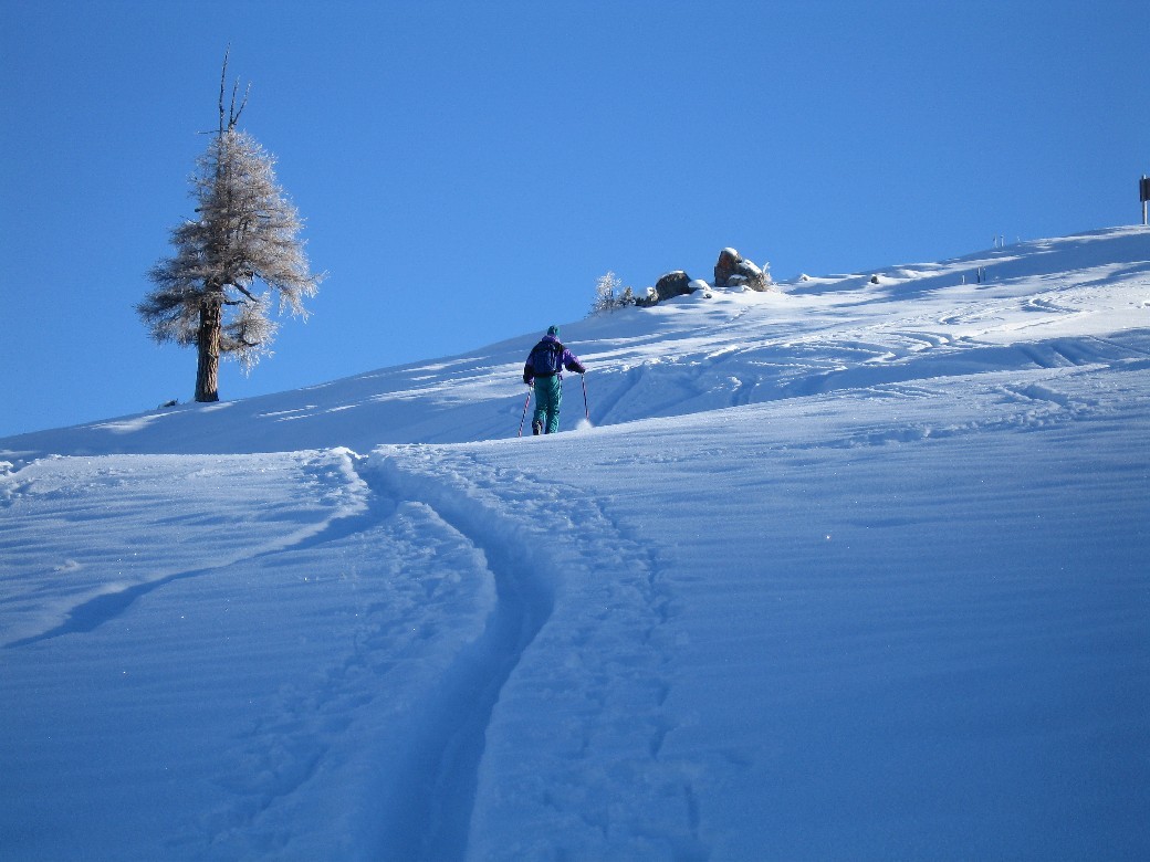 I primi pendii sopra il bosco
