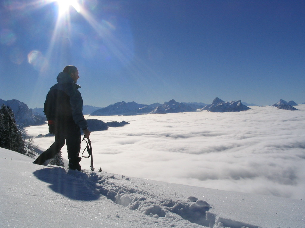 pied des dents de lanfon
