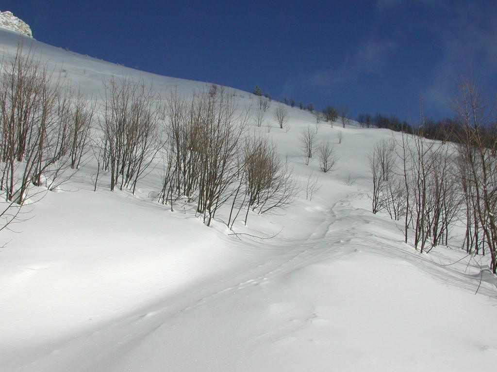 sous le col de la cochette - colombier d'aillon