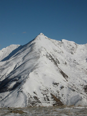 Il Pizzo di Gino Il Pizzo di Gino