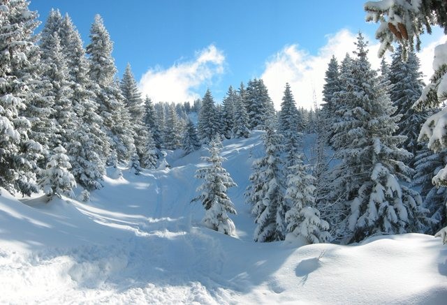 En montant à Sous-Dine , à la sortie du col de l'enclave