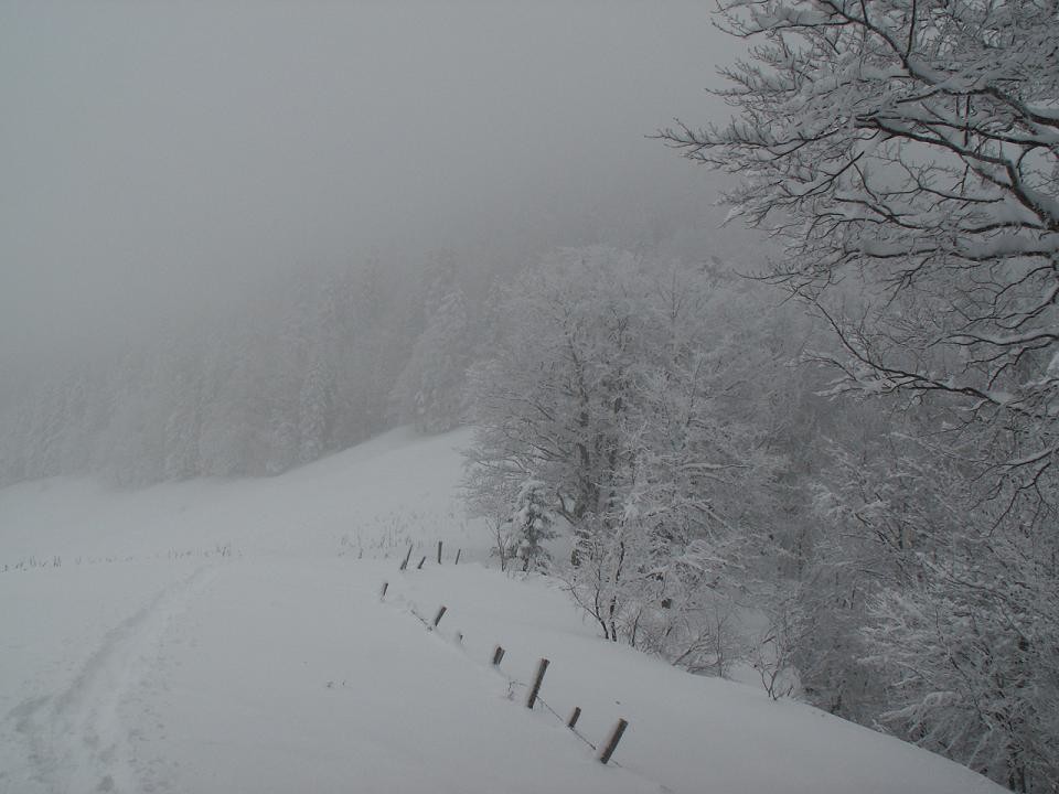Vu depuis le col de la Ruchère