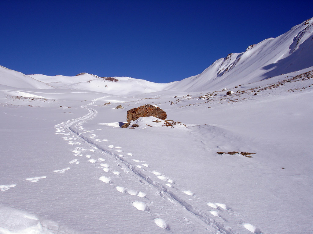 Nei pressi della Q. 2355 m sullo sfondo la cima del Sandhubel 2764 m.