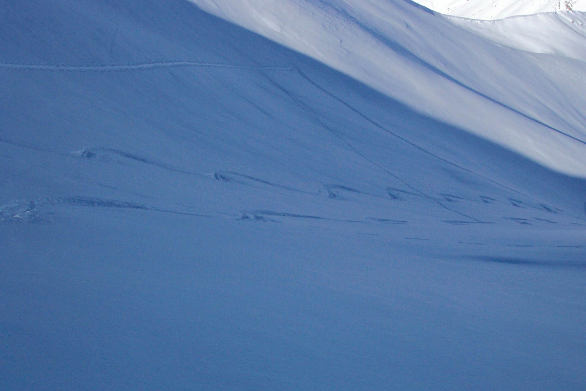 Traces