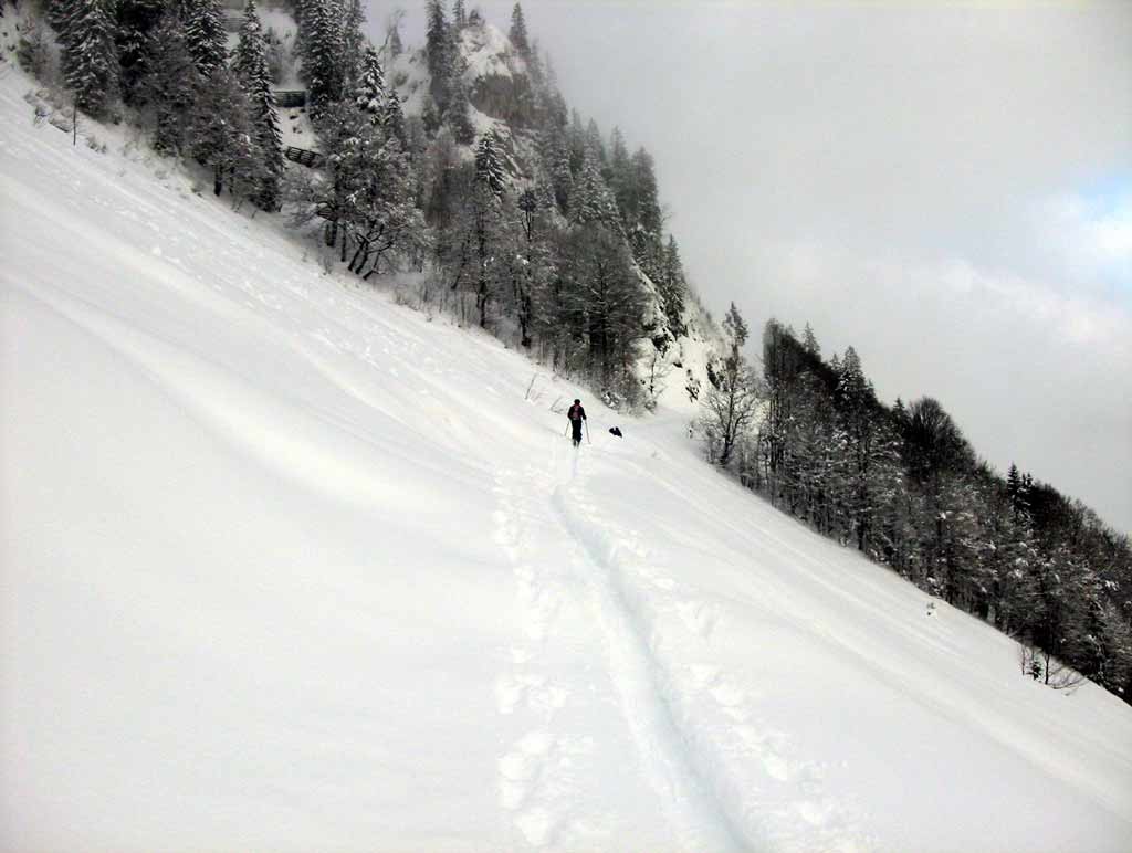 Sopra a Laueli