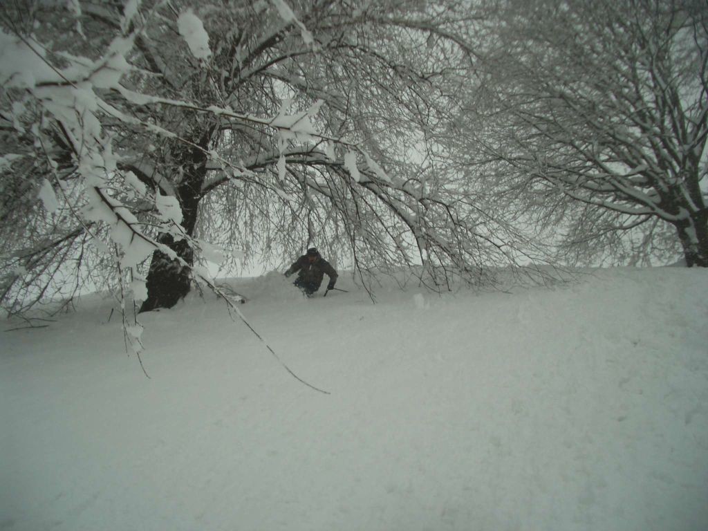 Monte Stella Milano - Polvere!