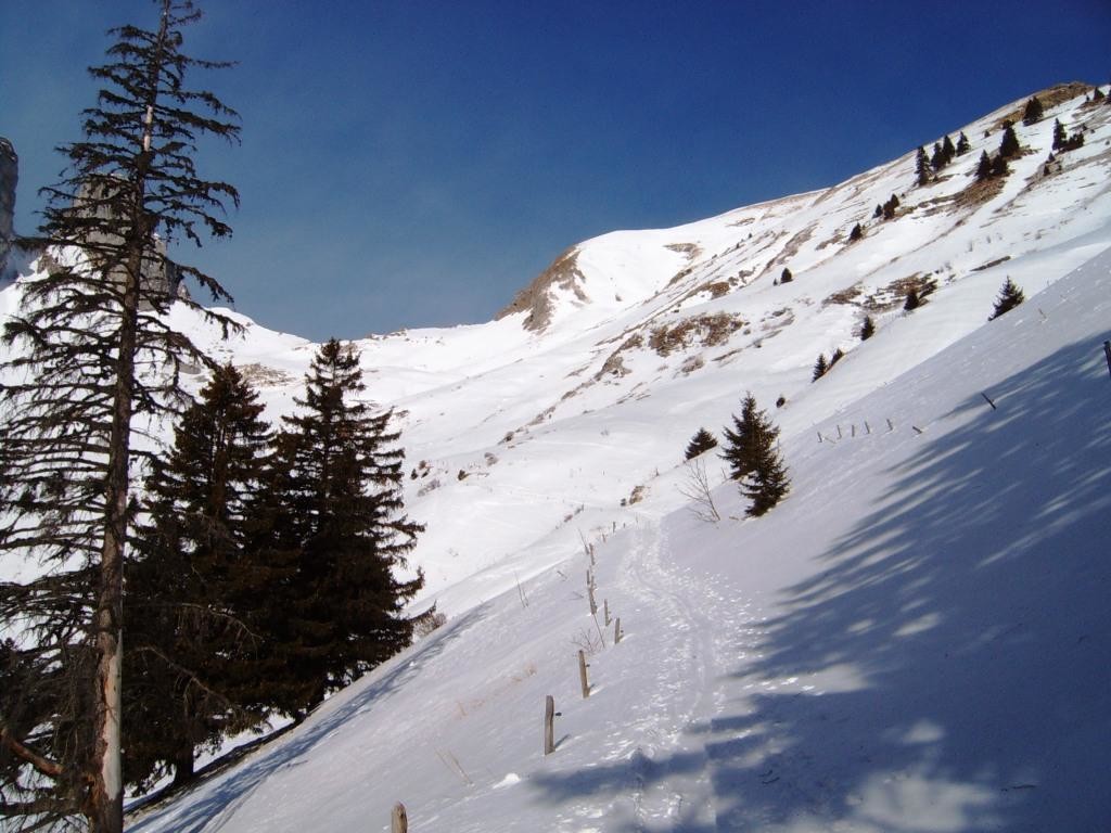 Montée au Grammont