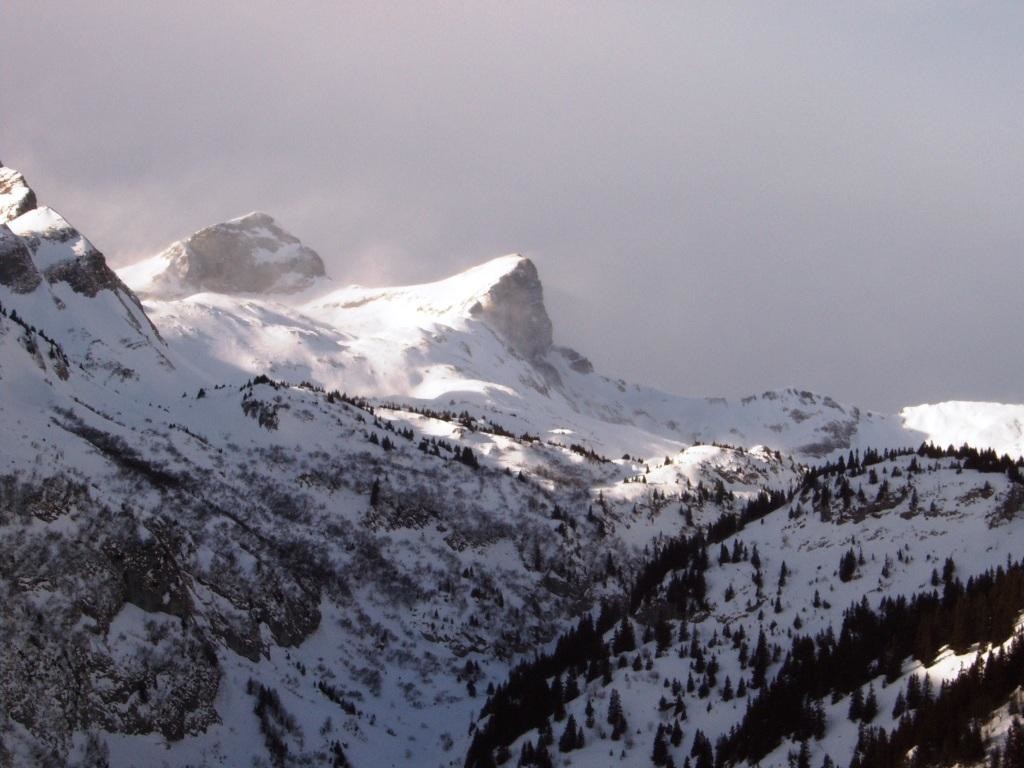 Cornettes et Lanchenaire
