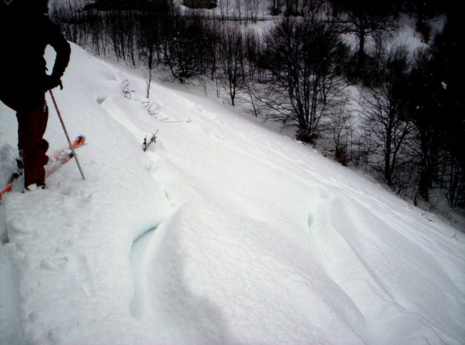 Orimento 1275 m. 29/01/2006