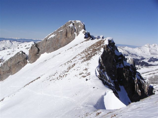 Blonnière pointe centrale