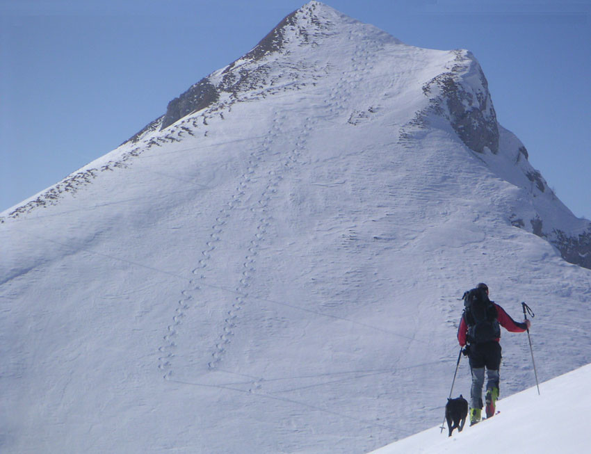 Pizzo del Vescovo