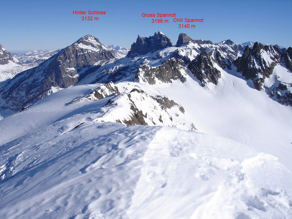 Vista sul gruppo del Gross Spannot.
