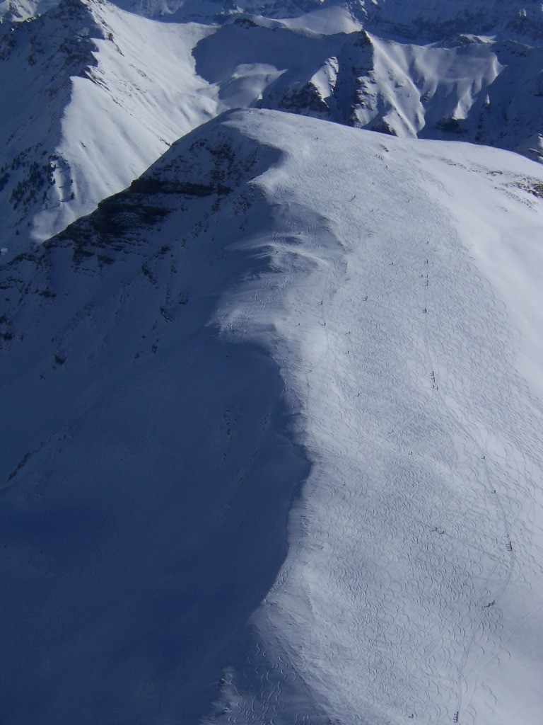 Chenilles processionnaires au Rauflihorn