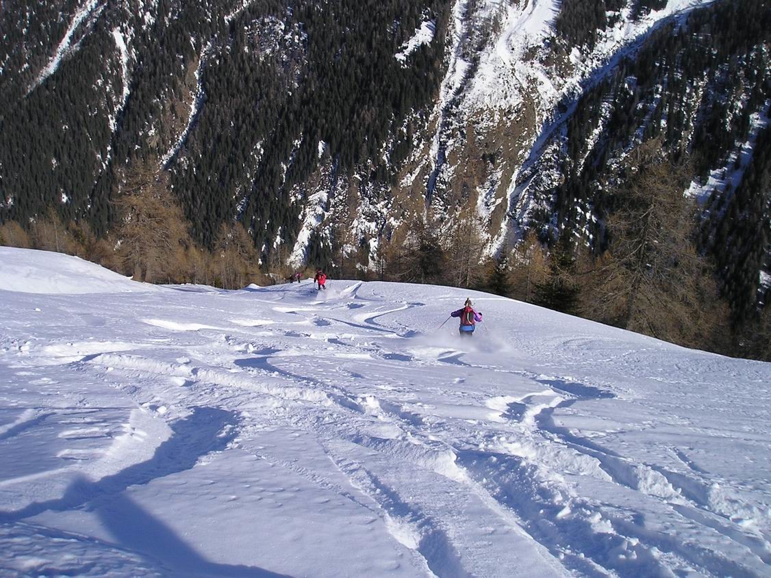 Polvere orobica!