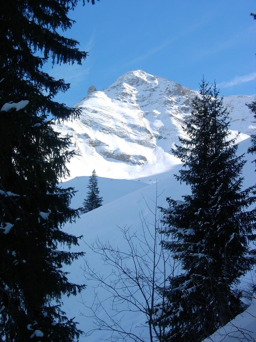 Vanil de l'Ecri
