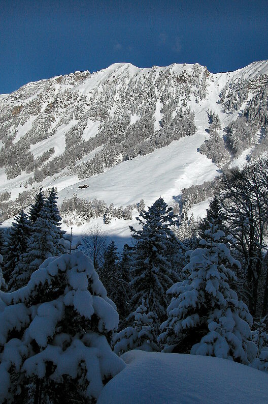 Chäppeliberg salendo alla Lindernenhütte