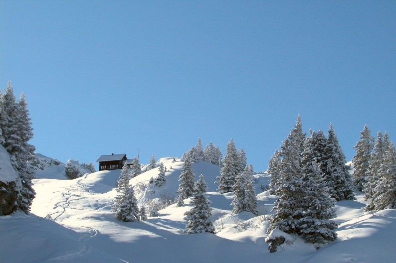 Lindernenhütte uscendo dal bosco