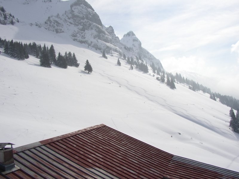 pentes NW sous le mont Billiat