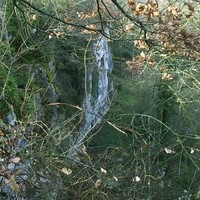 Roches Enchantées-Excideuil. Ouest des falaises vu du haut.