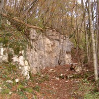 Bois l'evêque