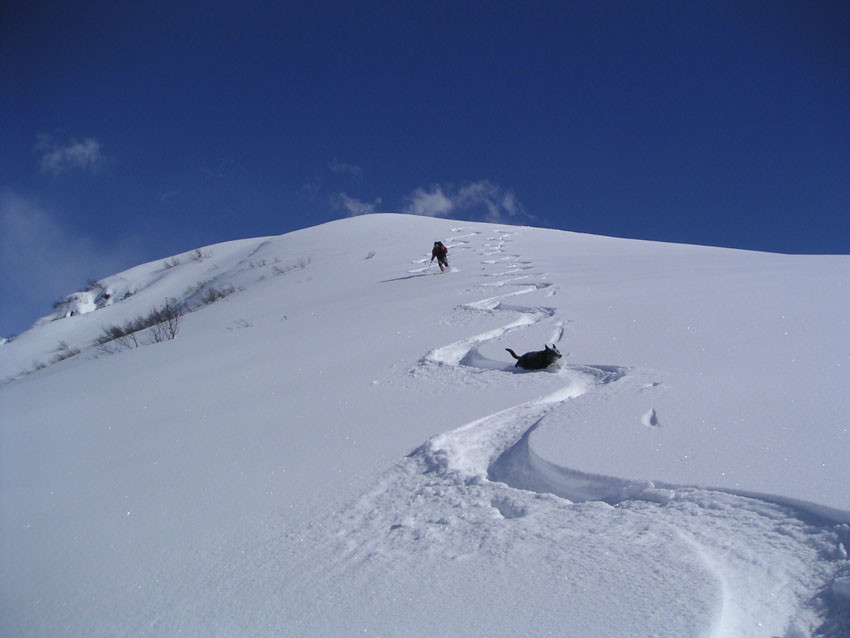Monte Sasna