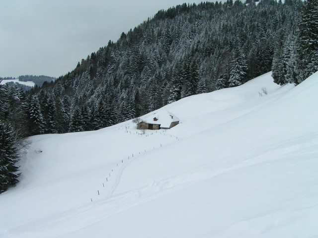 Fin de la descente par la pente sud, peu avant d'entrer dans la forêt