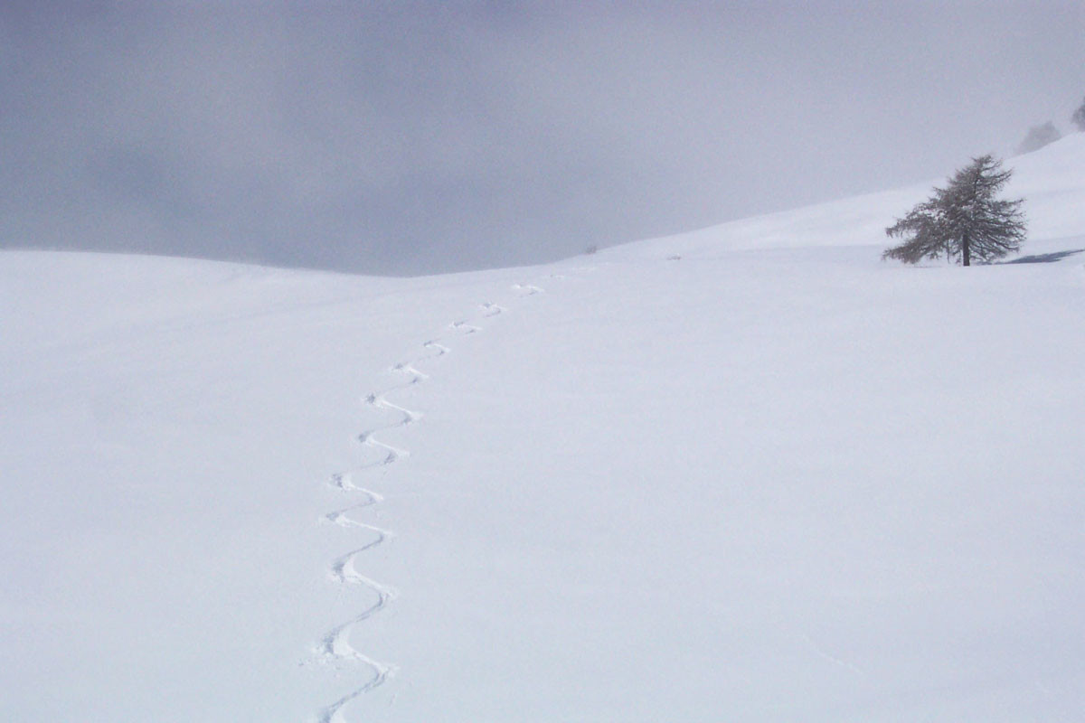 Descente dans la fraîche