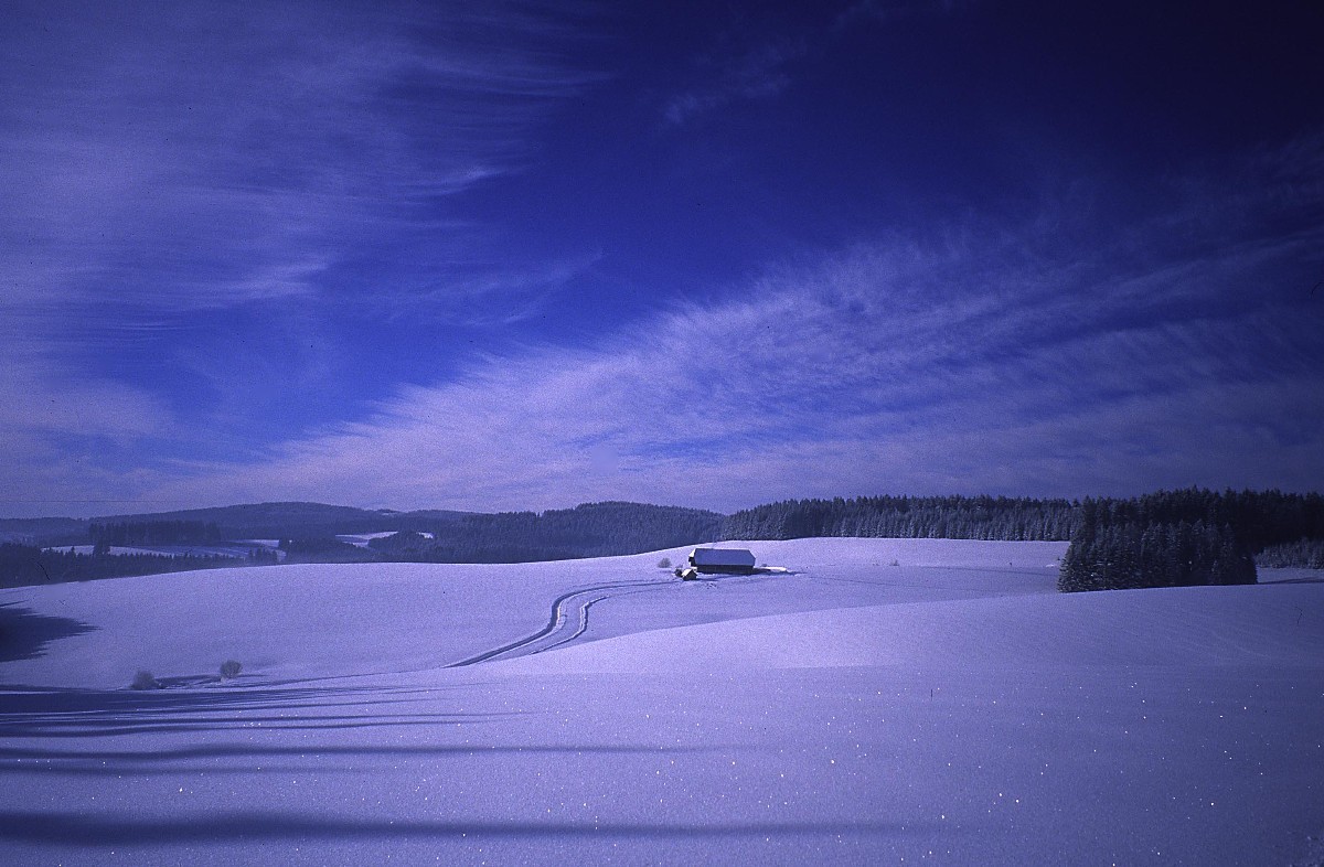 Forêt Noire, massif du Feldberg