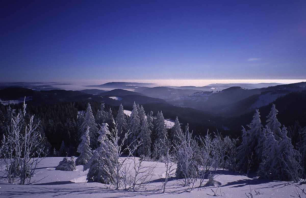Montée au Feldberg depuis la Naturfreundehaus